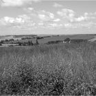 Paysage du Gers -- Le bonheur est dans le pré