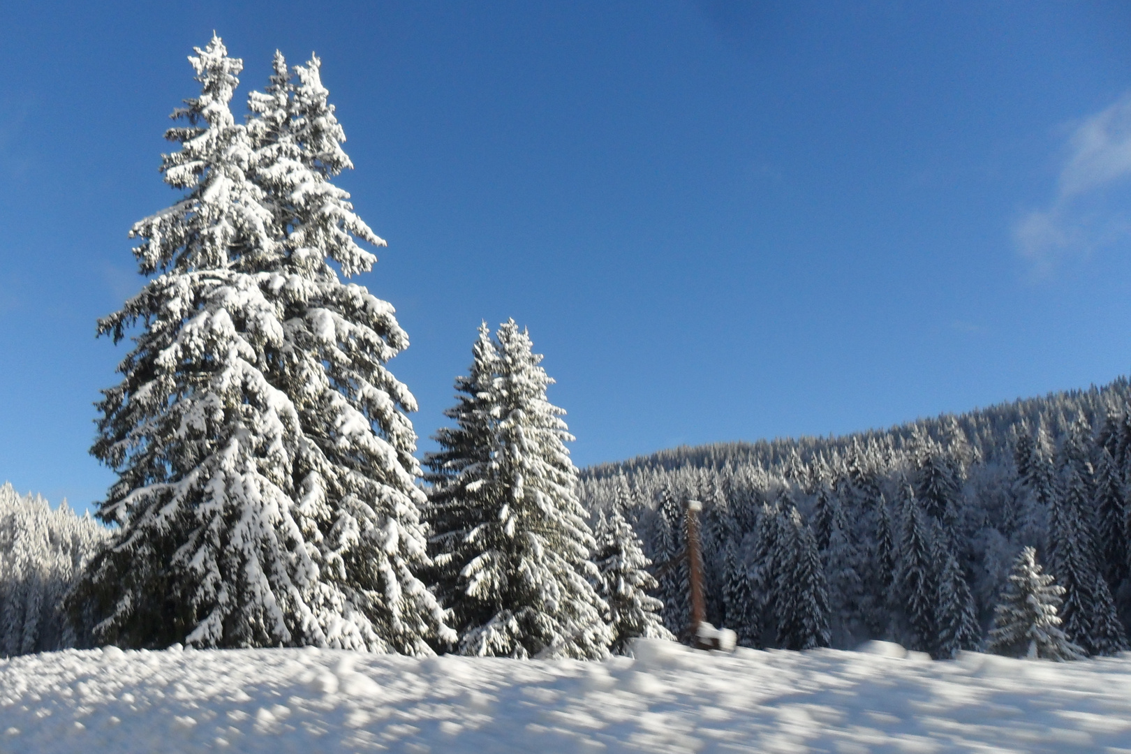 Paysage du Haut Jura