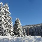 Paysage du Haut Jura