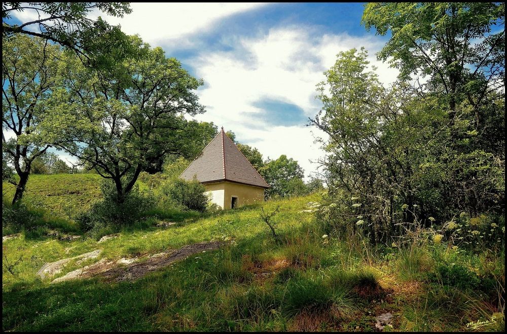 Paysage du Jura