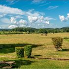 Paysage du Jura