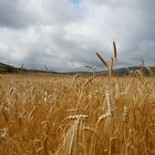 Paysage du Larzac