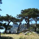 Paysage du littoral sud de la Corse