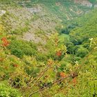 Paysage du Lot à Rocamadour