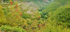 Paysage du Lot à Rocamadour