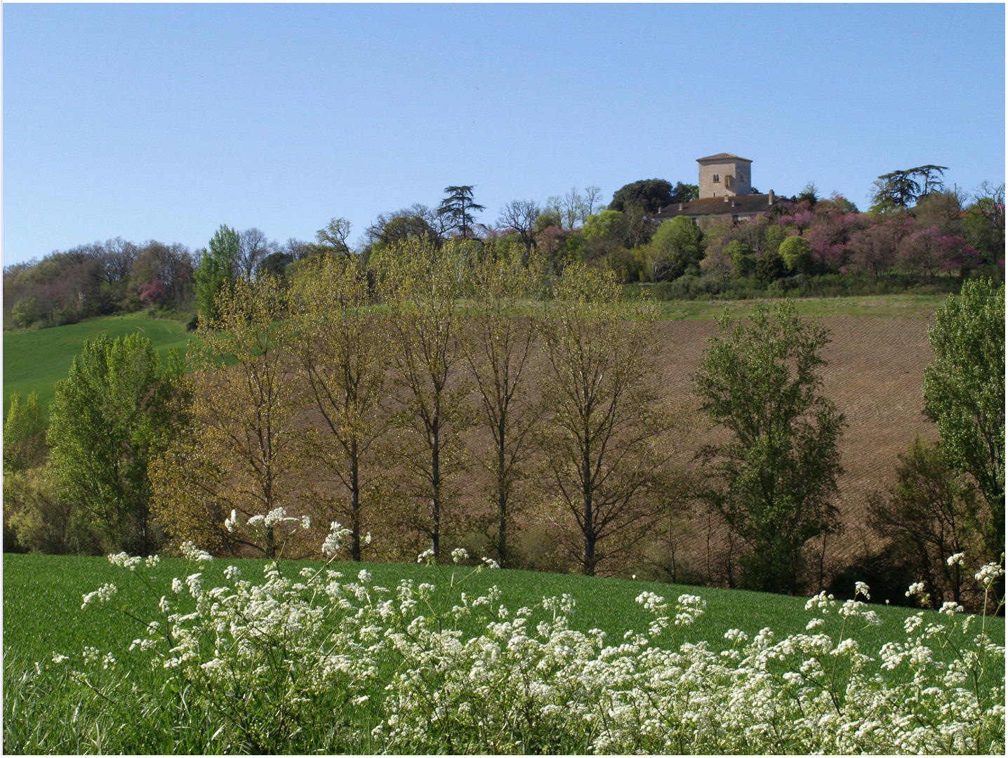 Paysage du nord du Gers au printemps