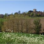 Paysage du nord du Gers au printemps