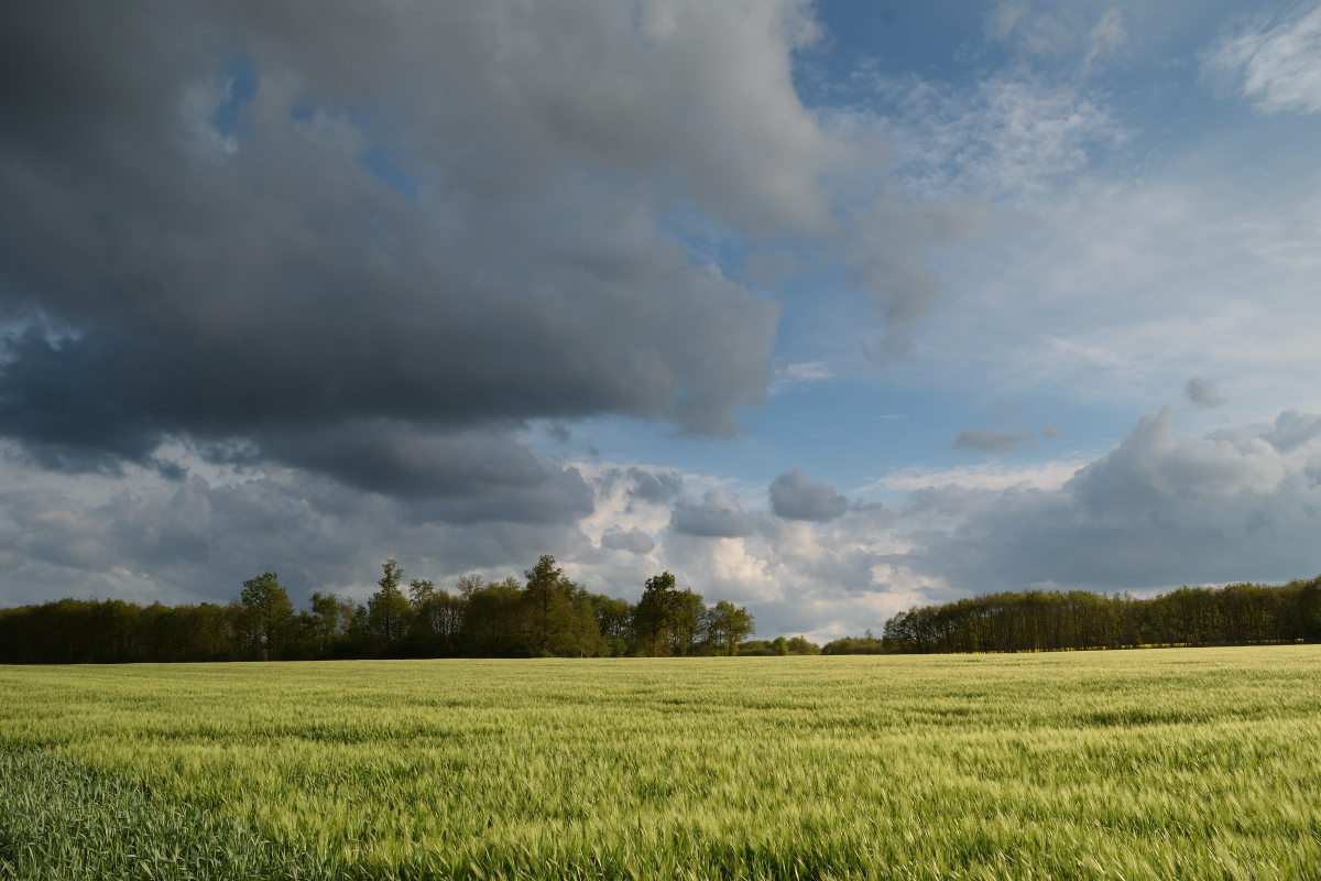 Paysage du Perche