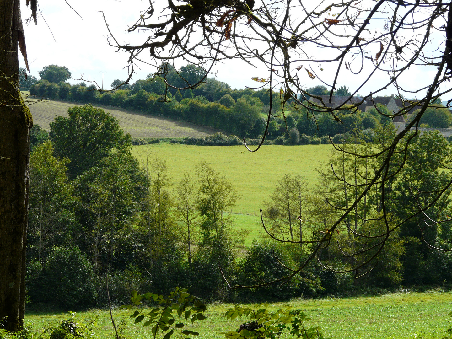 paysage du Perche