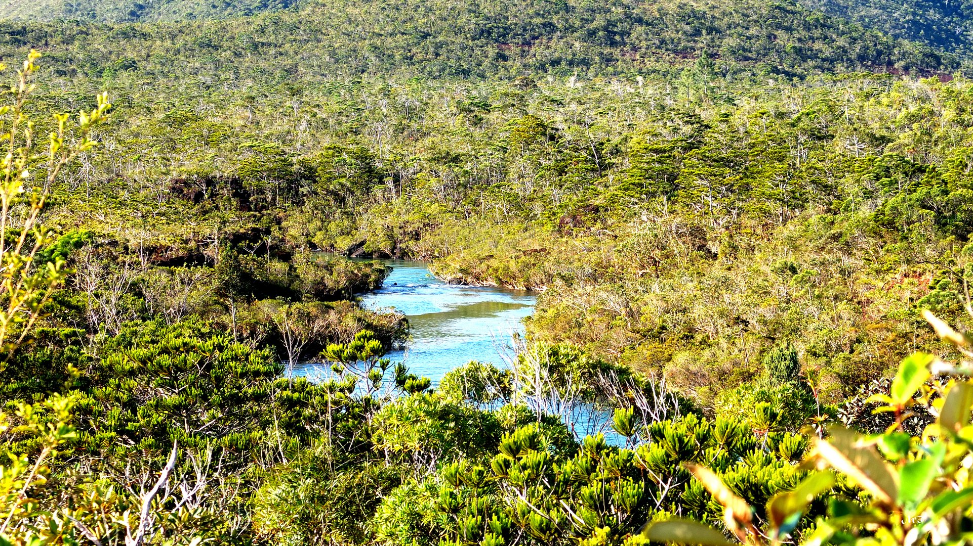 Paysage du sud