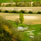 paysage du Tarn