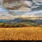 Paysage du Vercors aux champs de blés