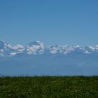 Paysage en Oberland Bernois