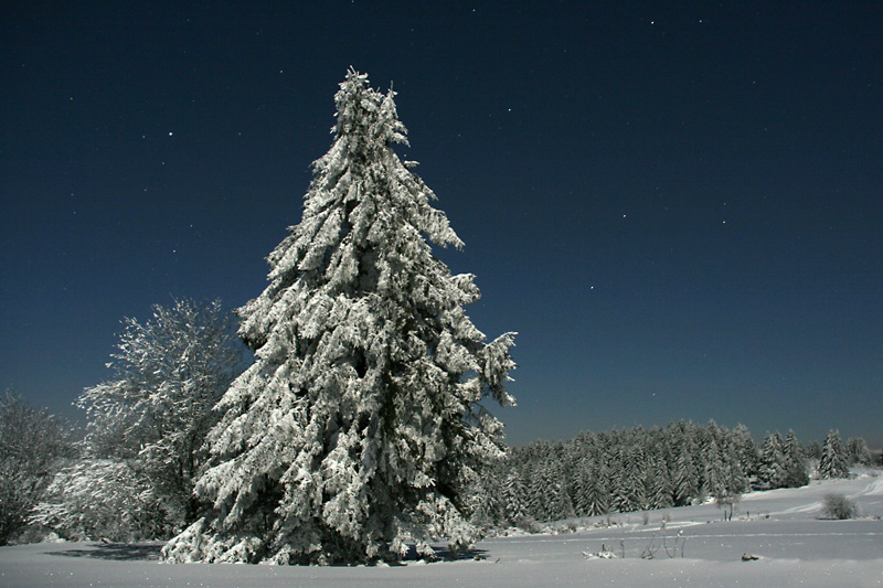 Paysage enneigé au clair de lune