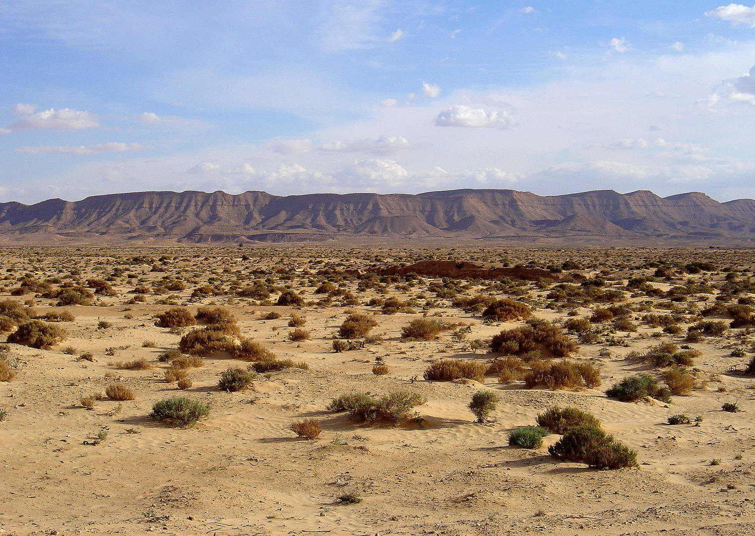 Paysage entre le Chott El Jerid et Gabes