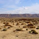 Paysage entre le Chott El Jerid et Gabes