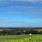 Paysage estival près de chez moi