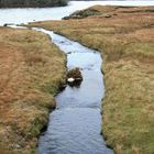 Paysage et Lac dans le Conemara Ireland