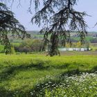 Paysage gascon au printemps