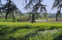 Paysage gascon au printemps