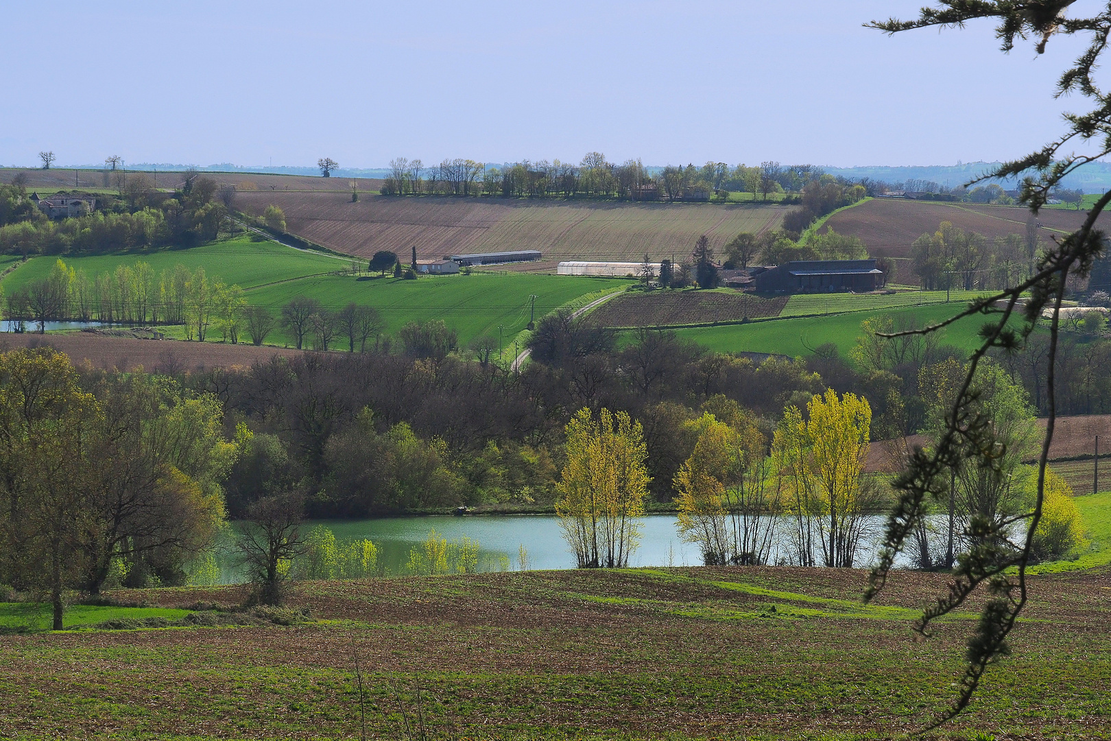 Paysage gascon au printemps