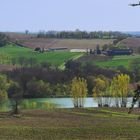 Paysage gascon au printemps