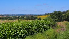 Paysage gascon en été