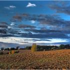 Paysage gersois à l’automne