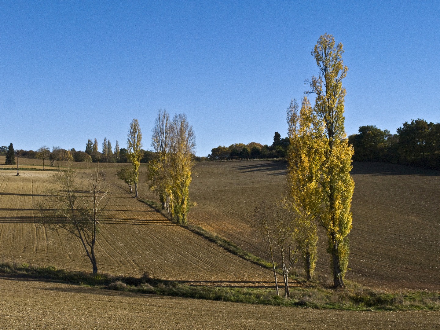 Paysage Gersois à l’automne -- Herbstliche Landschaft in dem Gers