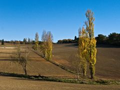 Paysage Gersois à l’automne -- Herbstliche Landschaft in dem Gers