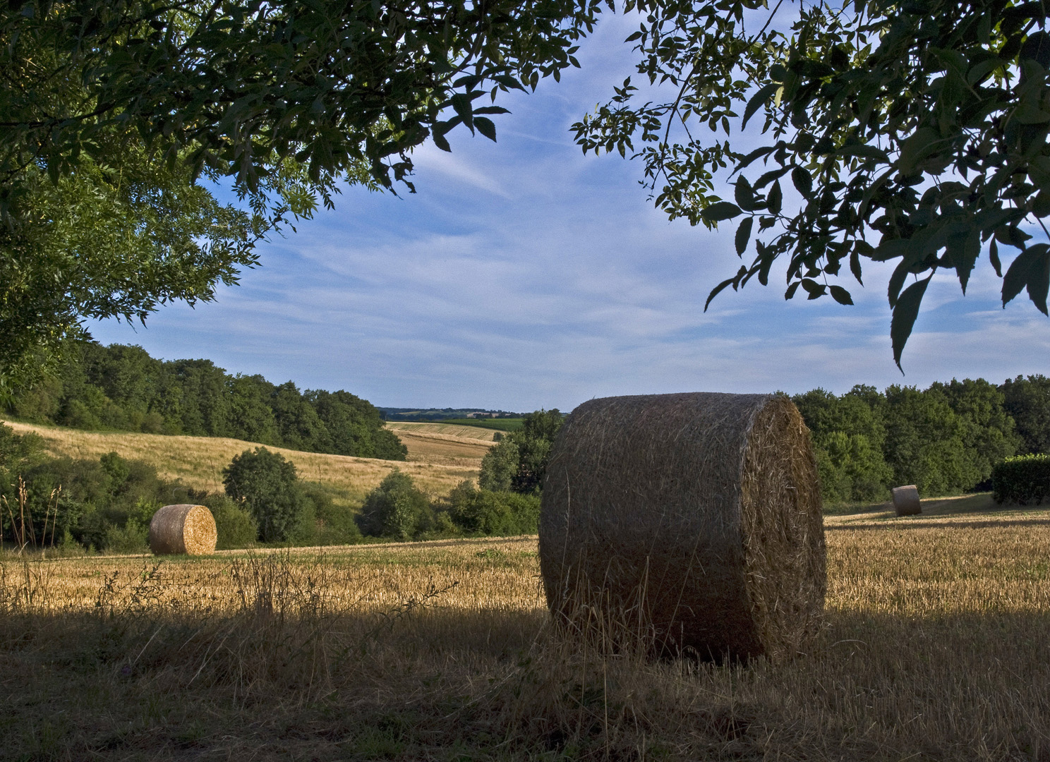 Paysage gersois après la moissson  --  Landschaft in dem Gers nach der Kornernte