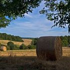 Paysage gersois après la moissson  --  Landschaft in dem Gers nach der Kornernte