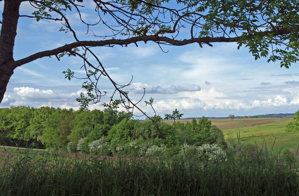 Paysage gersois au printemps