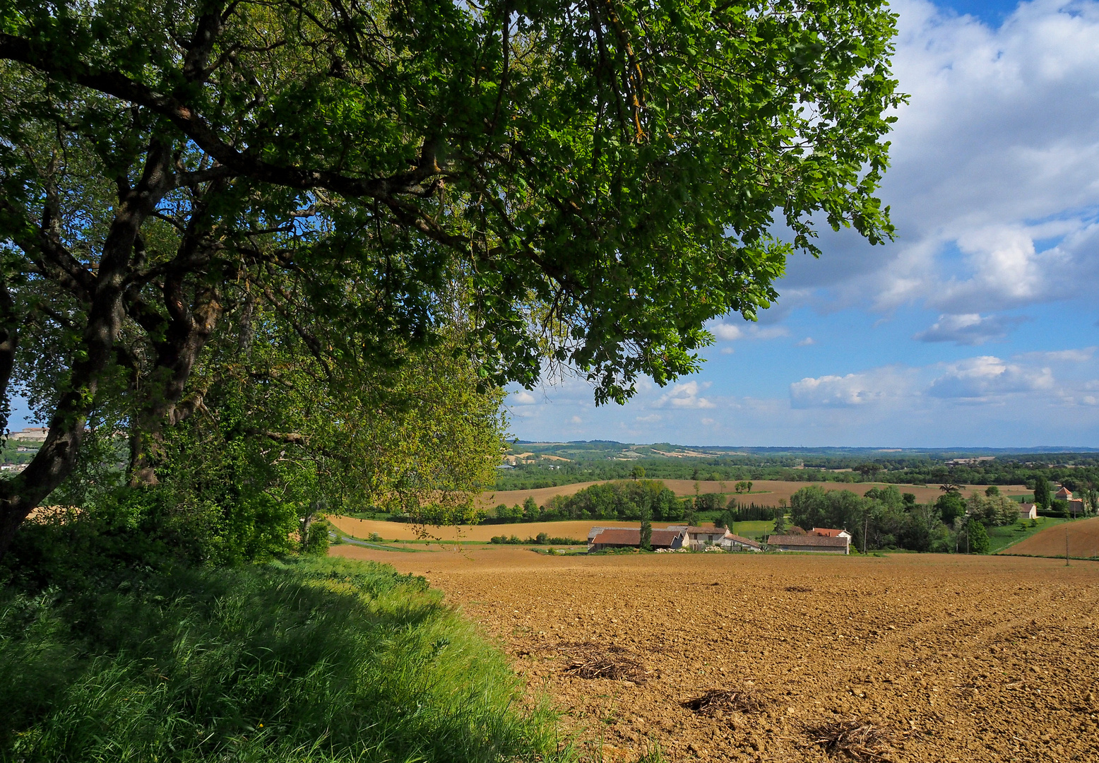 Paysage gersois au printemps