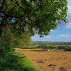 Paysage gersois au printemps