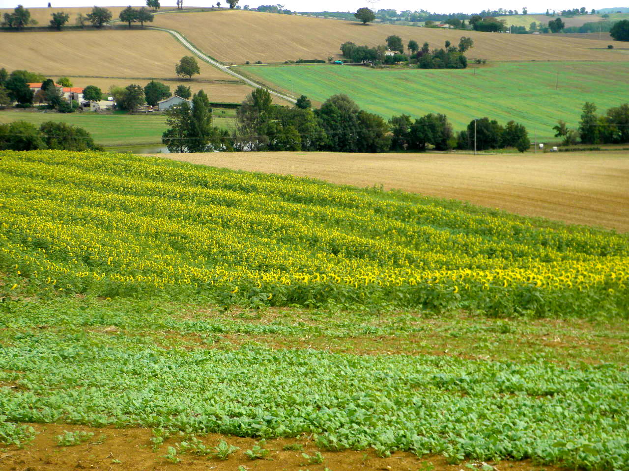 PAYSAGE GERSOIS