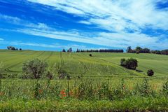 Paysage gersois dans le vert printanier