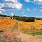 Paysage gersois d’après moisson