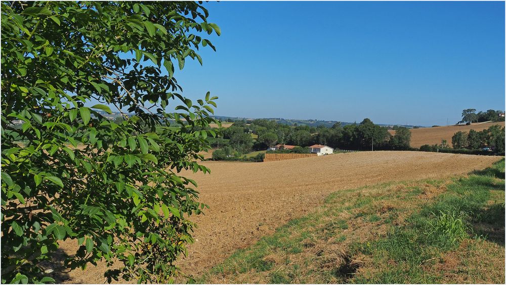 Paysage gersois en août