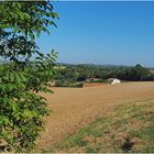 Paysage gersois en août