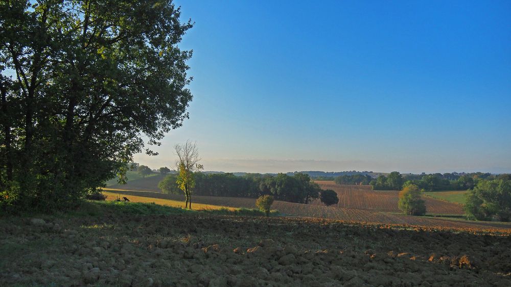 Paysage gersois en début d’automne