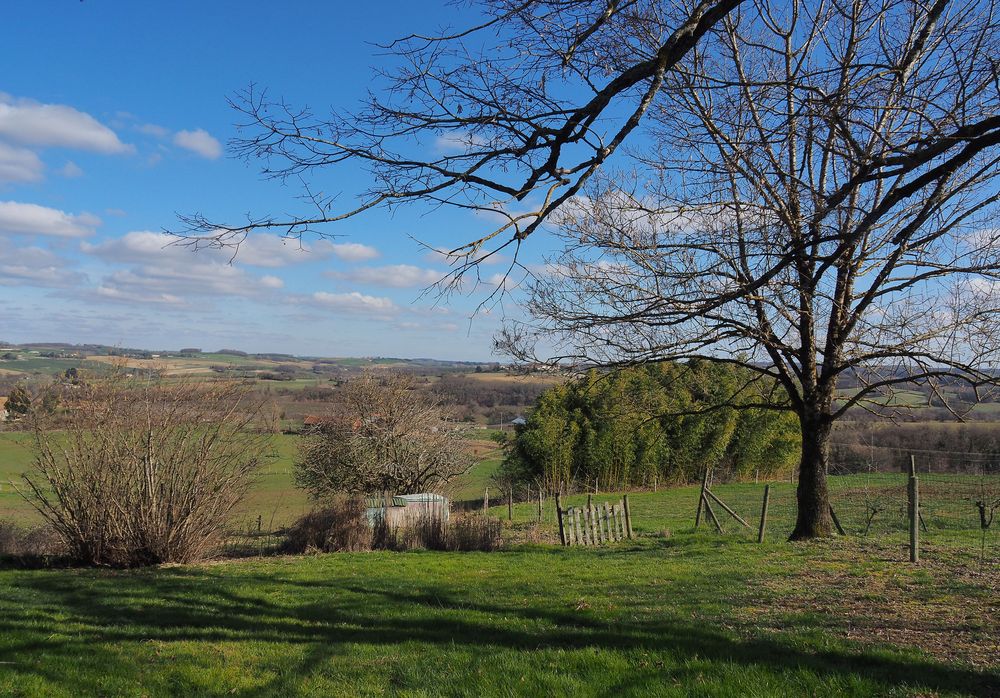 Paysage gersois en hiver