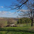 Paysage gersois en hiver