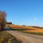 Paysage gersois en hiver