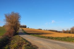 Paysage gersois en hiver