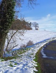 Paysage gersois enneigé -- 01/2007 -- Schneelandschaft in dem Gers