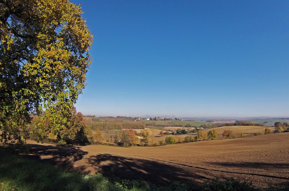 Paysage gersois près du village de Roquepine -- Landschaft in dem Gers nahe dem Dorf "Roquepine"