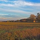 Paysage gersois sous les derniers rayons du soleil