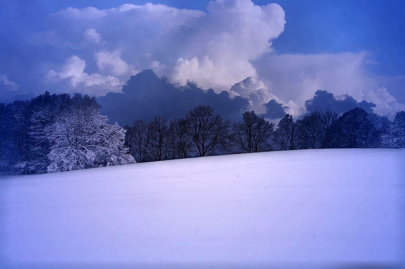 Paysage givré blanc