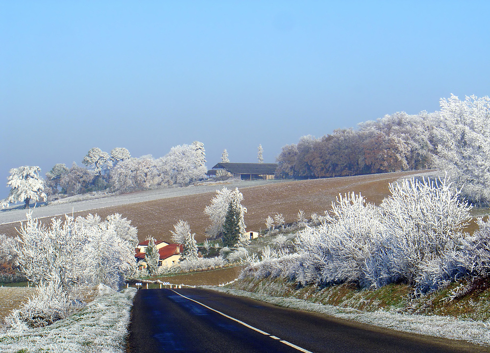 Paysage givré sous le soleil de décembre entre Caussens et Condom (Gers)